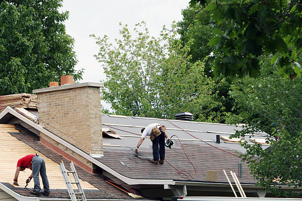 Professional Roofing Contractor in Stewartville, MN