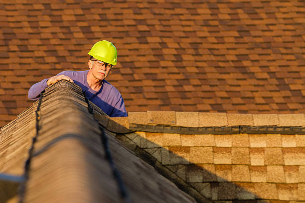 Best Residential Roofing Contractor  in Stewartville, MN
