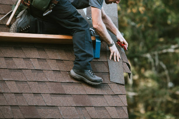 Best Flat Roof Repair Services  in Stewartville, MN
